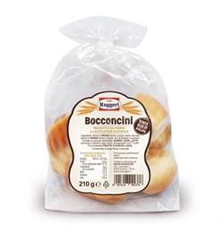 N.R.BOCCONCINI GR.210