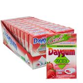 DAYGUM PROTEX FRAGOLA ASTUCCIO PZ.20